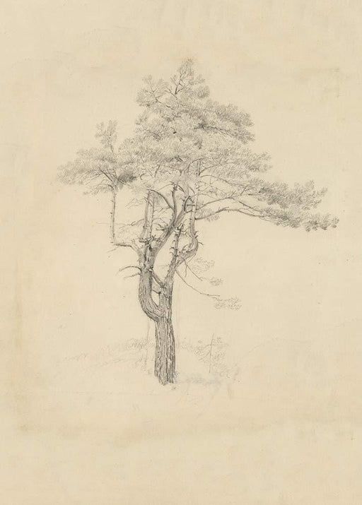 Caspar David Friedrich 'Pine Tree', Germany, 1830, Reproduction 200gsm A3 Vintage Classic Art Poster - World of Art Global Limited