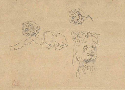 Eugene Delacroix 'Three Studies of a Lion', France, 1815-63, Reproduction 200gsm A3 Classic Art Vintage Poster - World of Art Global Limited