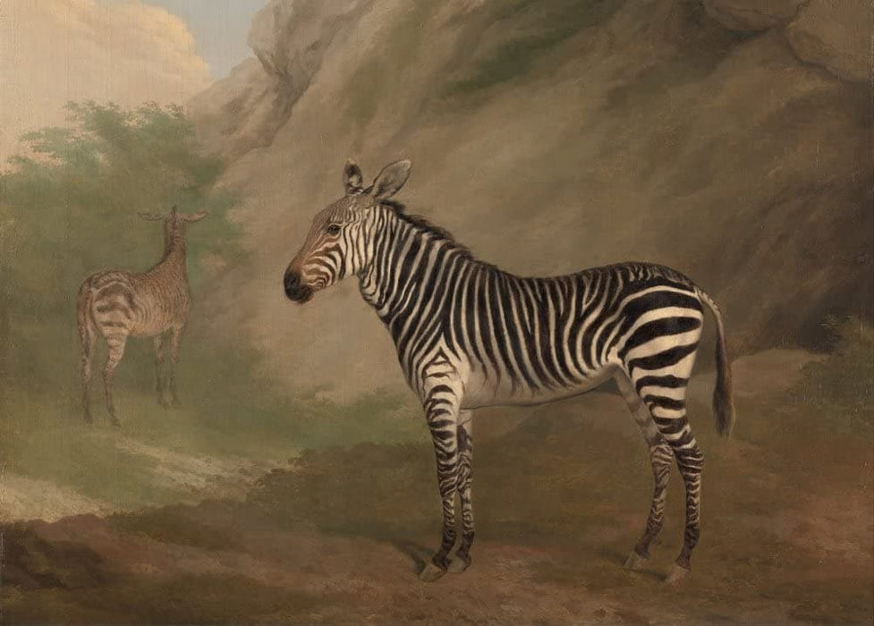 Jacques Laurent Agasse 'Zebra, Detail', Switzerland, 1803, Reproduction 200gsm A3 Vintage Classic Art Poster