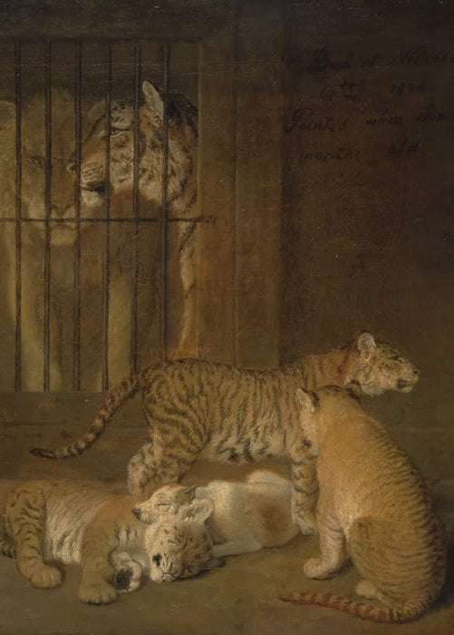 Jacques Laurent Agasse 'Group of Whelps Bred Between a Lion and a Tigress, Detail', Switzerland, 1825, Reproduction 200gsm A3 Vintage Classic Art Poster