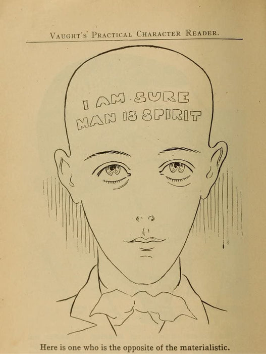 Vintage Anatomy Phrenology 'A Non-Materialistic Face. I am Sure Man is Spirit', from 'Vaught's Practical Character Reader', U.S.A, 1902, Reproduction 200gsm A3 Vintage Medical Poster