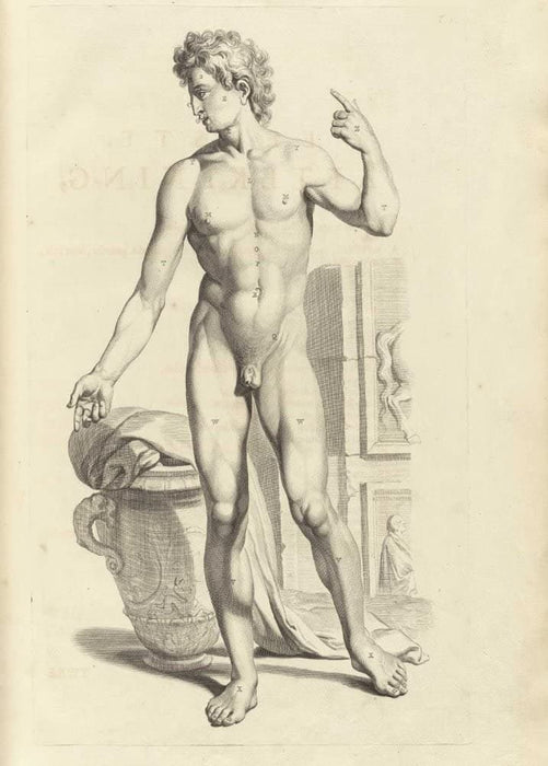 Vintage Anatomy 'Male Body, Front View', from 'Anatomia Humani Corporis', 1685, Netherlands, Govard Bidloo, Gerard de Lairesse, Reproduction 200gsm A3 Vintage Medical Poster