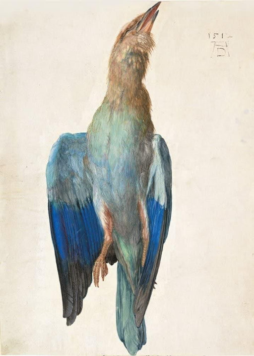 Albrecht Durer 'Dead Blue Roller', Germany, 1500-12, Reproduction 200gsm A3 Vintage Classic Art Poster - World of Art Global Limited