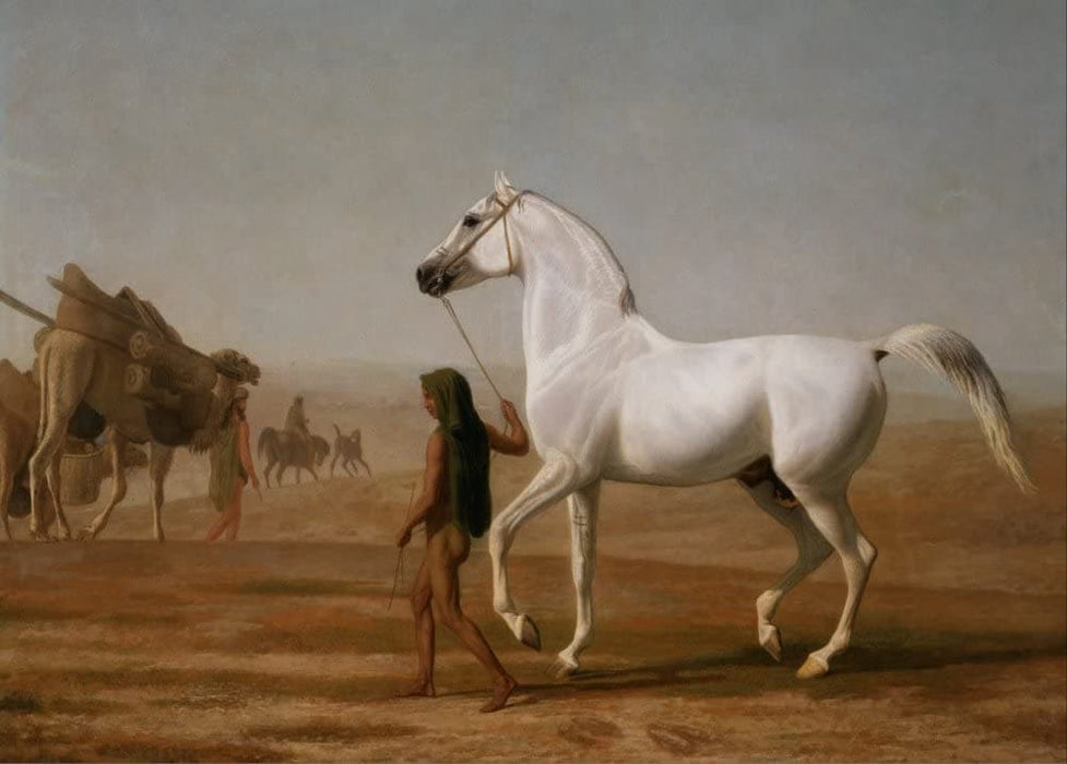 Jacques Laurent Agasse 'The Wellesley Grey Arabian Led Through The Desert', Switzerland, 1810, Reproduction 200gsm A3 Vintage Classic Art Poster