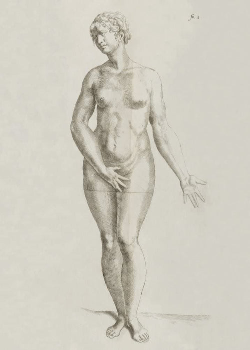 Vintage Anatomy 'De Humani Corporis Fabrica Libri Septem', Plate 12, Italy, 1543, Andreas Vesalius, Reproduction 200gsm A3 Vintage Medical Poster
