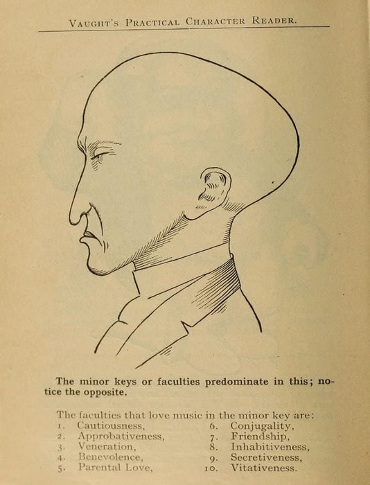 Vintage Anatomy Phrenology 'The Minor Keys', from 'Vaught's Practical Character Reader', U.S.A, 1902, Reproduction 200gsm A3 Vintage Medical Poster