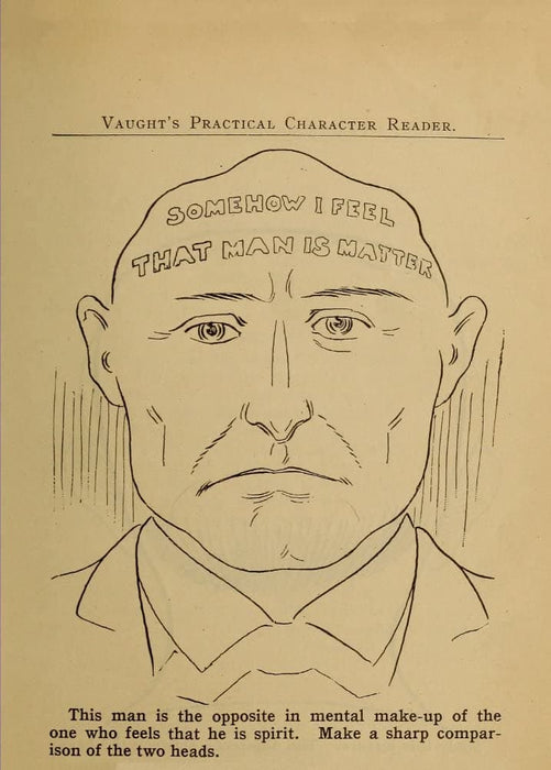 Vintage Anatomy Phrenology 'A Materialistic Face', from 'Vaught's Practical Character Reader', U.S.A, 1902, Reproduction 200gsm A3 Vintage Medical Poster