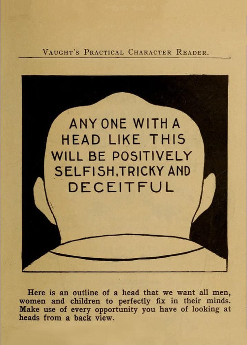 Vintage Anatomy Phrenology 'A Positively Tricky and Deceitful Head', from 'Vaught's Practical Character Reader', U.S.A, 1902, Reproduction 200gsm A3 Vintage Medical Poster