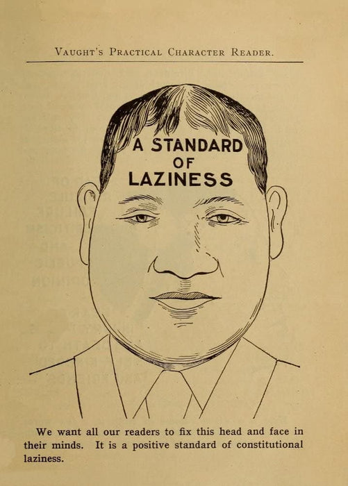 Vintage Anatomy Phrenology 'A Standard of Laziness', from 'Vaught's Practical Character Reader', U.S.A, 1902, Reproduction 200gsm A3 Vintage Medical Poster