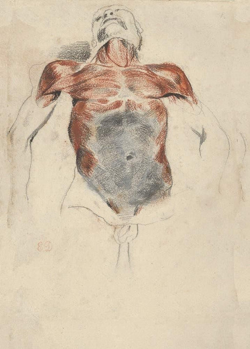 Eugene Delacroix 'Ecorche. Torso of a Male Cadaver', France, 1820-63, Reproduction 200gsm A3 Classic Art Vintage Poster - World of Art Global Limited