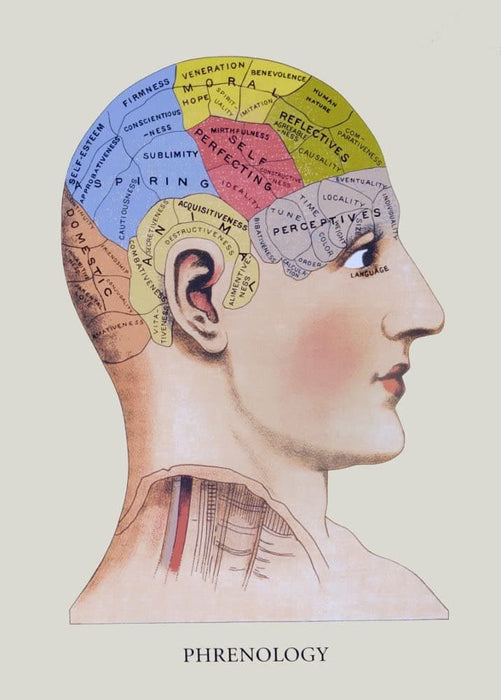 Vintage Anatomy Phrenology 'A Phrenological Map of The Human Brain', from 'Virtue's Household Physician', England, 1924, Reproduction 200gsm A3 Vintage Medical Poster