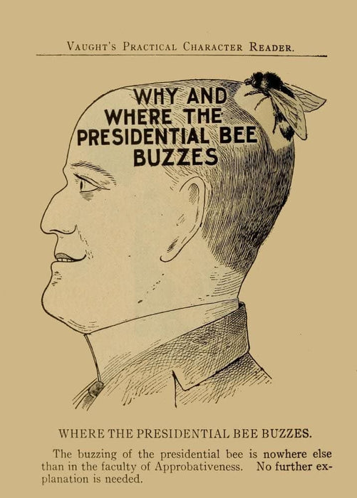 Vintage Anatomy Phrenology 'Where The Presidential Bee Buzzes', from 'Vaught's Practical Character Reader', U.S.A, 1902, Reproduction 200gsm A3 Vintage Medical Poster