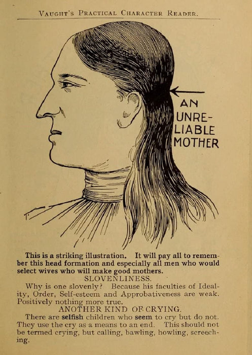 Vintage Anatomy Phrenology 'An Unreliable Mother', from 'Vaught's Practical Character Reader', U.S.A, 1902, Reproduction 200gsm A3 Vintage Medical Poster