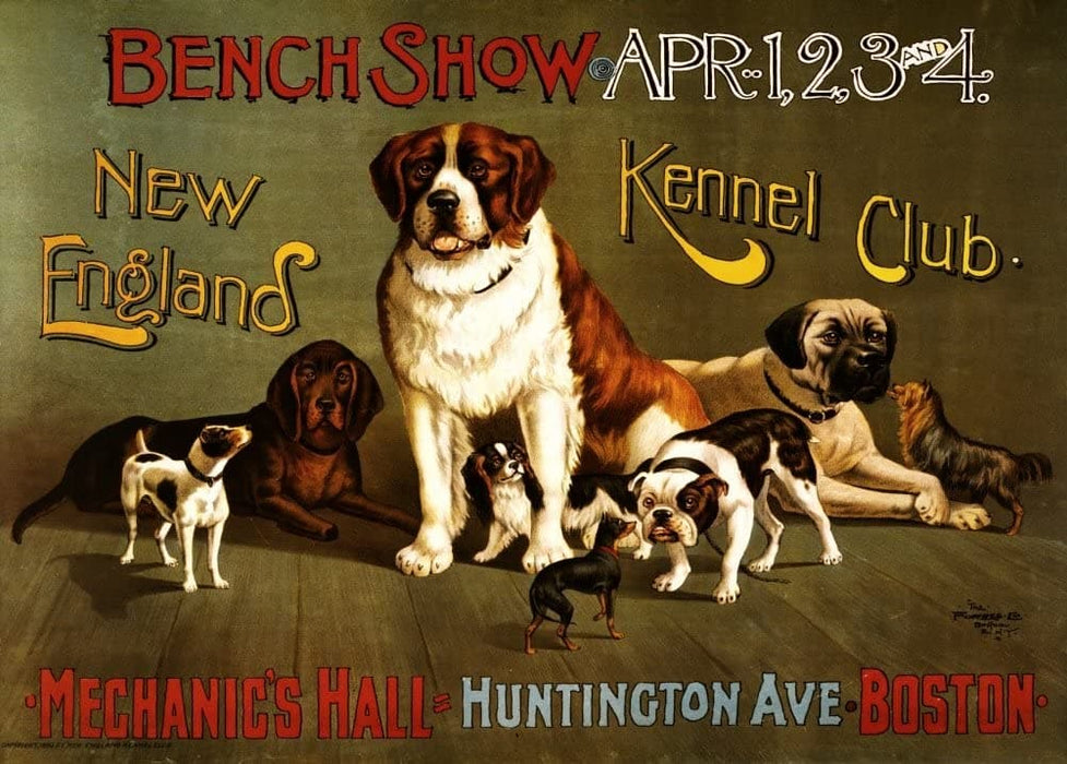Vintage Pets & Veterinary 'Kennel Club's Bench Show', U.S.A, 1890, Reproduction 200gsm A3 Vintage Art Nouveau Poster