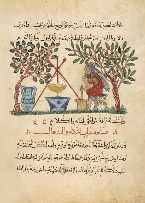 Vintage Anatomy 'Arabic Translation of 'The Dioscorides De Materia Medica', Preparing Medicine from Honey', Iraq, 13th Century, Reproduction Vintage 200gsm A3 Classic Anatomy Poster