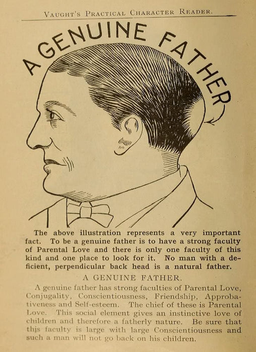 Vintage Anatomy Phrenology 'A Genuine Father', from 'Vaught's Practical Character Reader', U.S.A, 1902, Reproduction 200gsm A3 Vintage Medical Poster