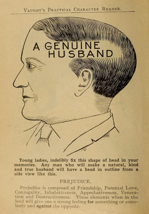 Vintage Anatomy Phrenology 'A Genuine Husband', from 'Vaught's Practical Character Reader', U.S.A, 1902, Reproduction 200gsm A3 Vintage Medical Poster