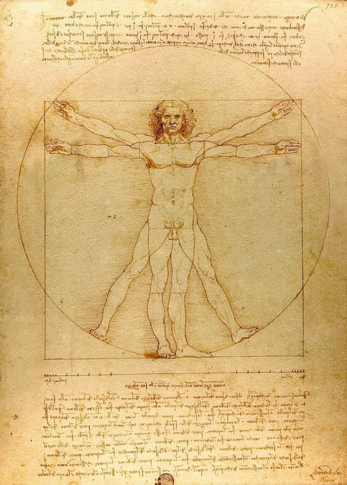 Leonardo da Vinci 'Vitruvian Man', Italy, 1490, Reproduction 200gsm A3 Vintage Classic Art Poster
