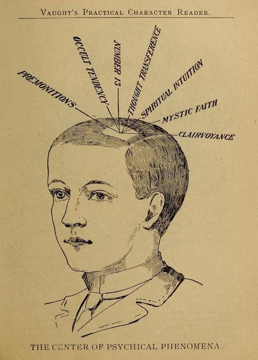Vintage Anatomy Phrenology 'The Centre of Physical Phenonema', from 'Vaught's Practical Character Reader', U.S.A, 1902, Reproduction 200gsm A3 Vintage Medical Poster