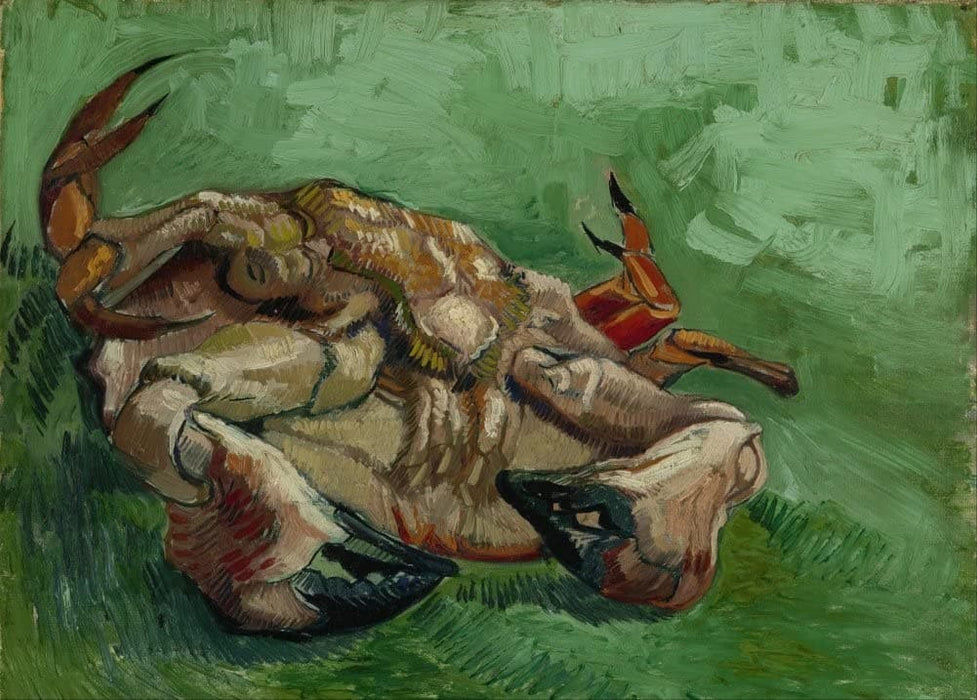 Vincent Van Gogh 'A Crab on its Back', 1888, Netherlands, Reproduction 200gsm A3 Vintage Classic Art Poster