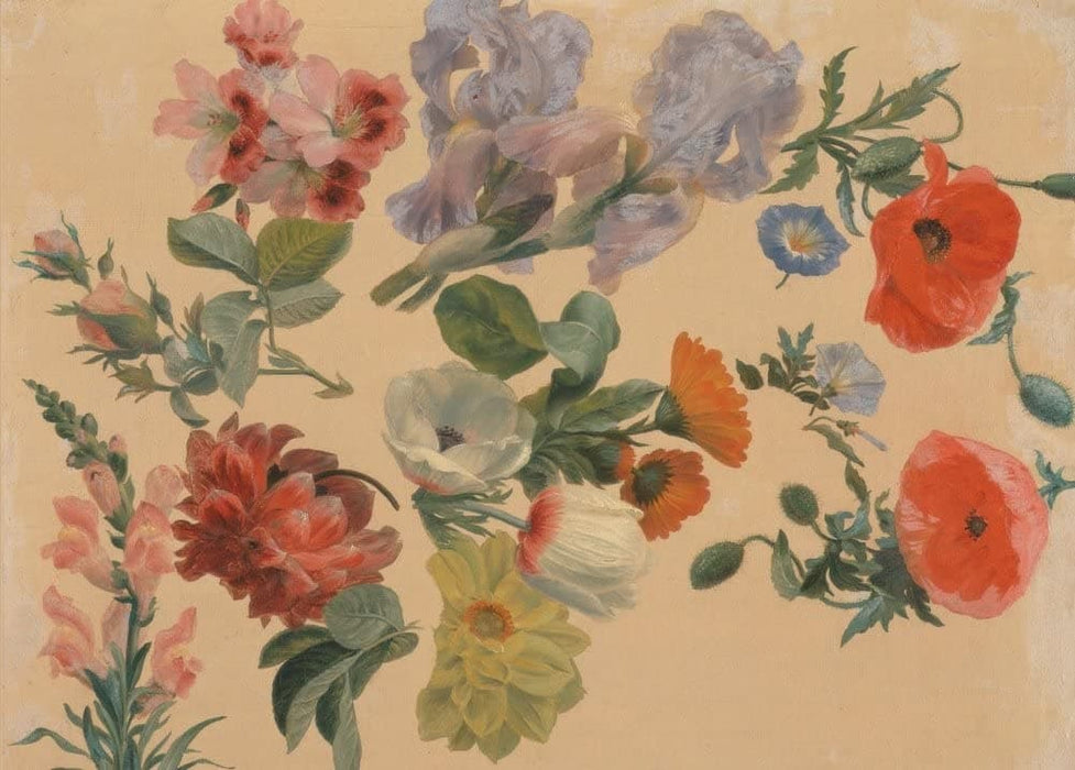 Jacques Laurent Agasse 'Studies of Summer Flowers', Switzerland, 1848, Reproduction 200gsm A3 Vintage Classic Art Poster