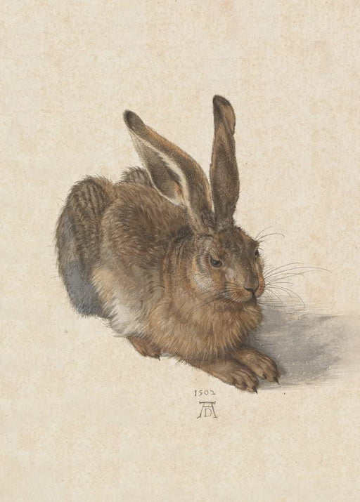 Albrecht Durer 'Hare', Germany, 1502, Reproduction 200gsm A3 Vintage Classic Art Poster - World of Art Global Limited