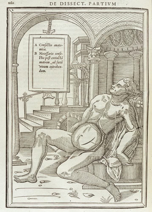 Vintage Anatomy 'De Dissectione Partium Corporis Humani Libi Tres', Plate 1, France, 1545, Charles Estienne, Reproduction 200gsm A3 Vintage Medical Poster