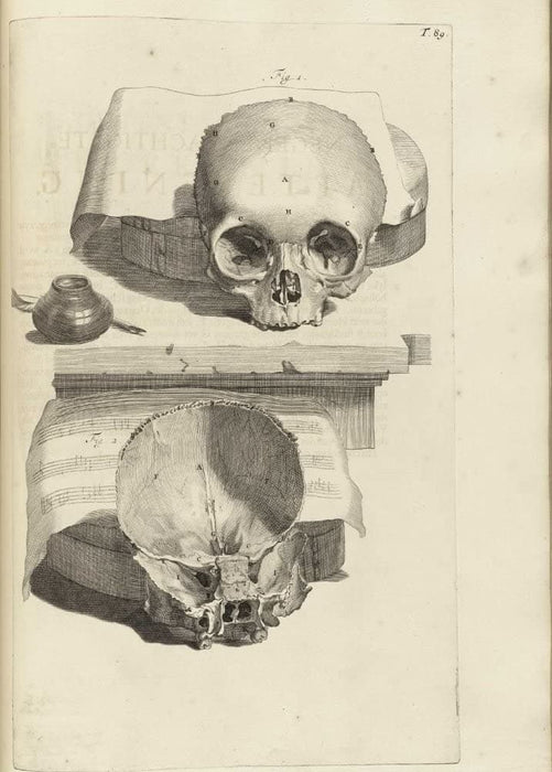 Vintage Anatomy 'Human Skull', from 'Anatomia Humani Corporis', 1685, Netherlands, Govard Bidloo, Gerard de Lairesse, Reproduction 200gsm A3 Vintage Medical Poster