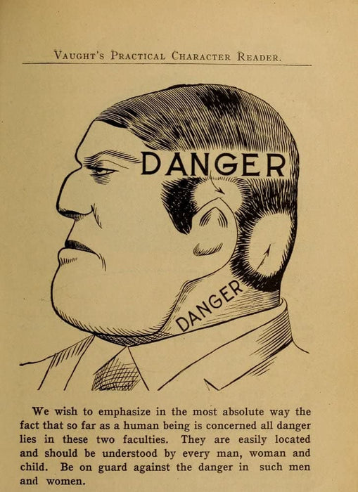 Vintage Anatomy Phrenology 'A Dangerous Face', from 'Vaught's Practical Character Reader', U.S.A, 1902, Reproduction 200gsm A3 Vintage Medical Poster