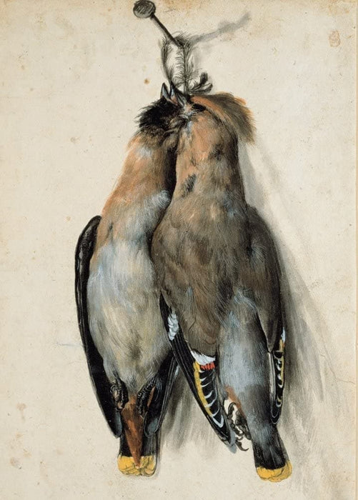 Lucas Cranach The Elder 'Two Dead Bohemian Waxwings, Detail', 1530, Germany, Reproduction 200gsm A3 Vintage Classic Art Poster
