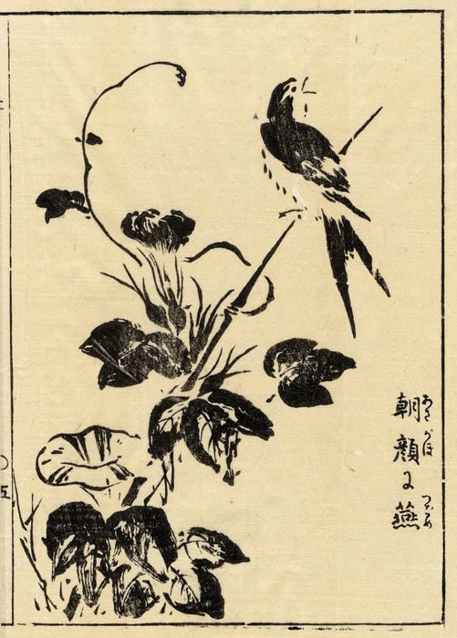Tachibana Morikuni 'Asagao and Tsubame', Japan, 17-18th Century, Reproduction 200gsm A3 Vintage Classic Art Poster