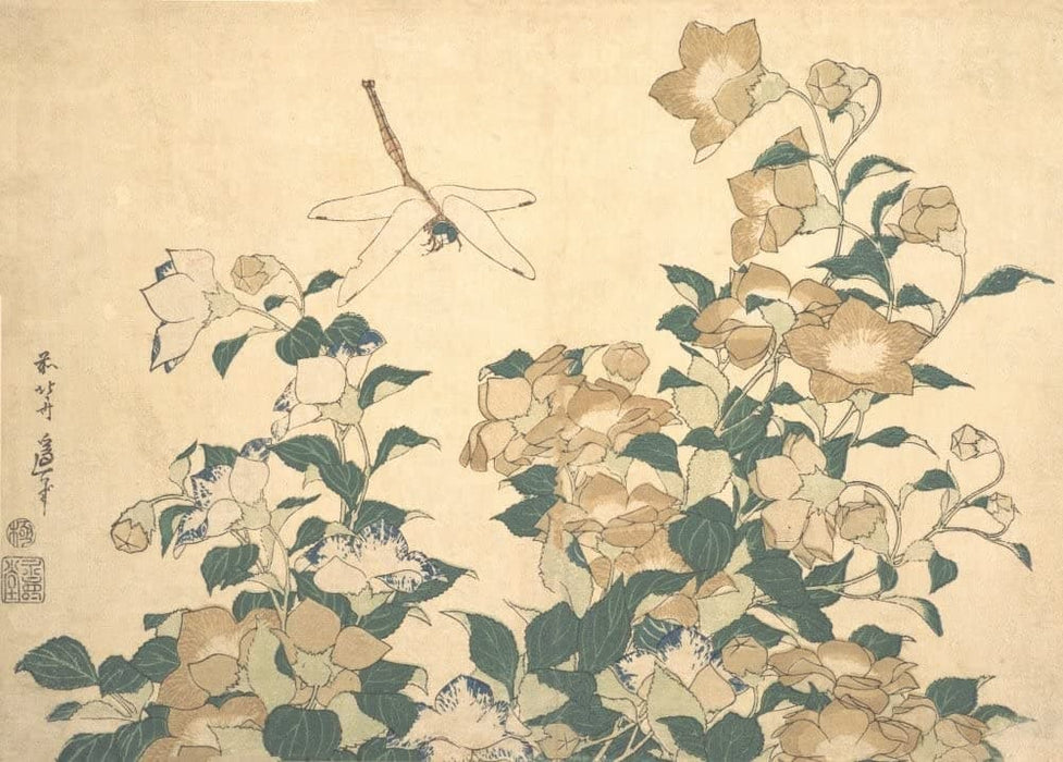 Hokusai 'Dragonfly and Bellflower', Japan, 18-19th Century, Reproduction 200gsm A3 Ukiyo-e Classic Art Poster