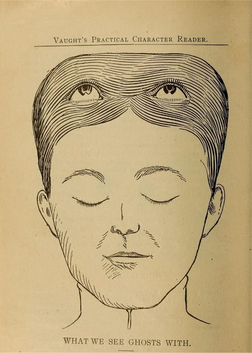 Vintage Anatomy Phrenology 'What we See Ghosts with', from 'Vaught's Practical Character Reader', U.S.A, 1902, Reproduction 200gsm A3 Vintage Medical Poster