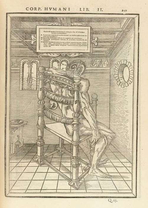 Vintage Anatomy 'De Dissectione Partium Corporis Humani Libi Tres', Plate 10, France, 1545, Charles Estienne, Reproduction 200gsm A3 Vintage Medical Poster