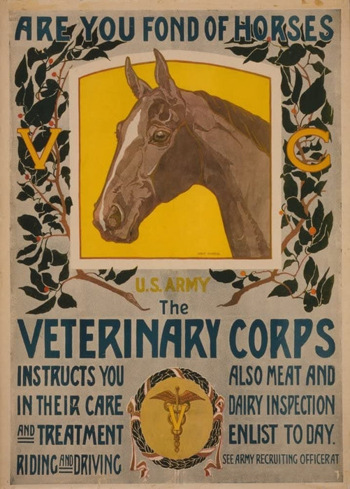 Vintage Pets & Veterinary 'Are You Fond of Horses? The U.S Army Veterinary Corps', U.S WW1 1939-45 Recruitment, Reproduction 200gsm A3 Vintage Poster