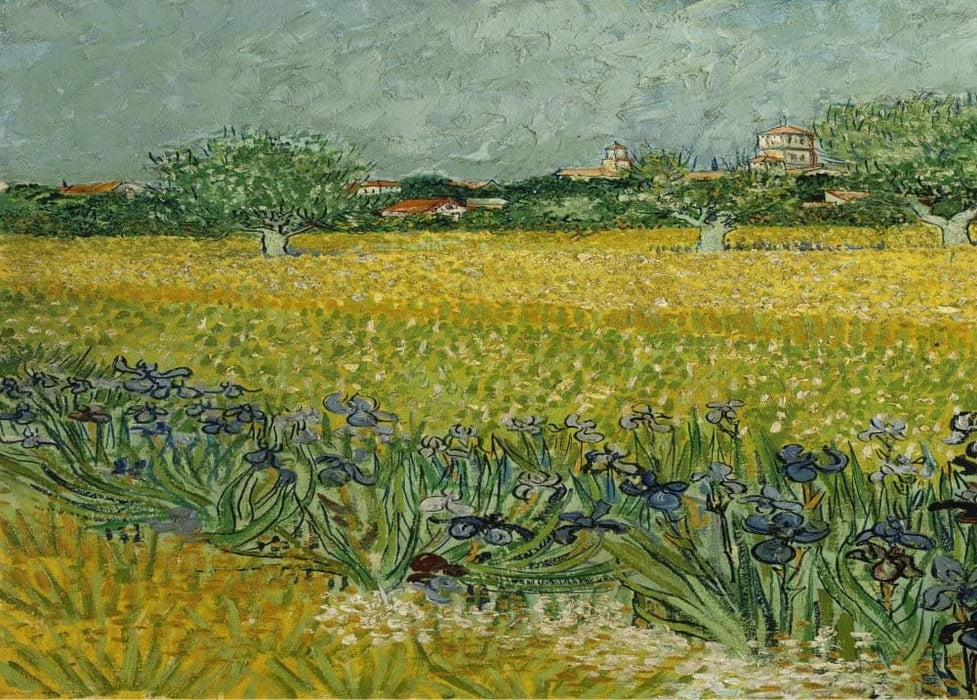 Vincent Van Gogh 'Field with Flowers Near Arles', 1888, Netherlands, Reproduction 200gsm A3 Vintage Classic Art Poster